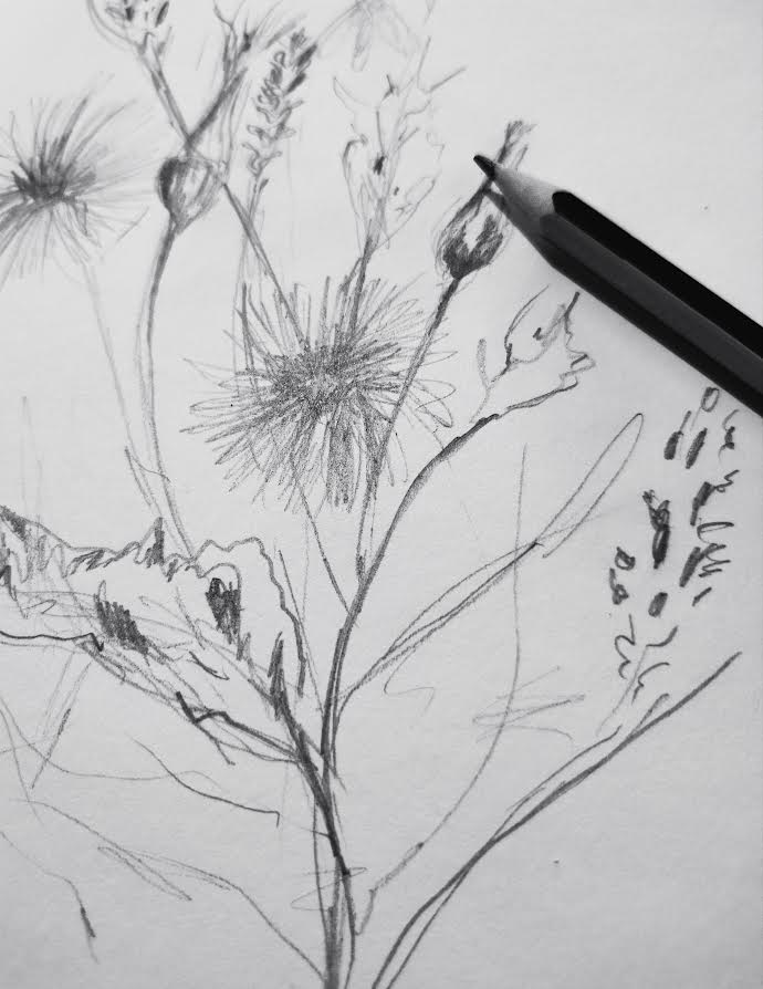 TEČAJ CRTANJA I&nbsp;SLIKANJA